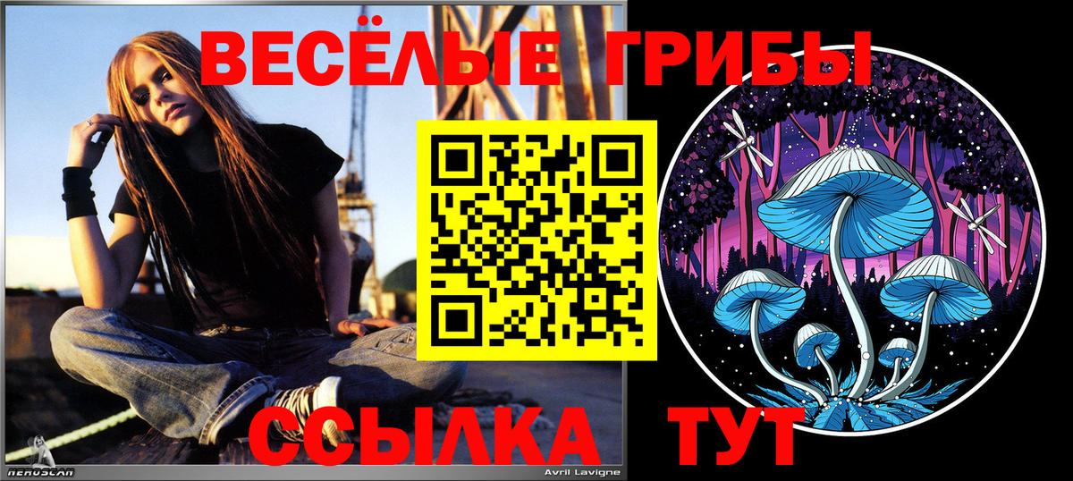 Псилоцибиновые грибы ЛСД  Вход с VPN  Киржач 